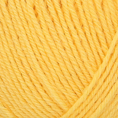 Regia 4 Ply 100g										 - 02041 Gelb