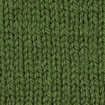 West Yorkshire Spinners ColourLab Aran										 - 1177 Moss Green