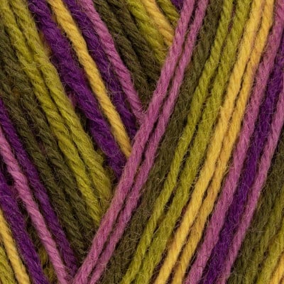 West Yorkshire Spinners Signature 4 Ply										 - 811 Passionfruit Cooler