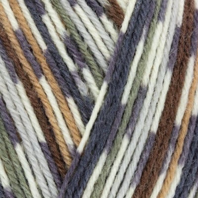 West Yorkshire Spinners Signature 4 Ply										 - 877 Owl