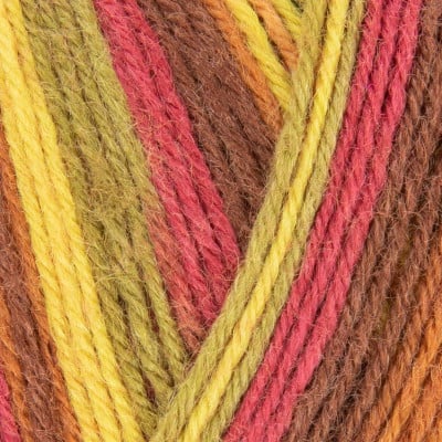 West Yorkshire Spinners Signature 4 Ply										 - 885 Autumn Leaves