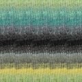 Noro Silk Garden