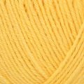 Regia 4 Ply 100g